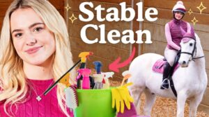 1778623965_maxresdefault.jpg