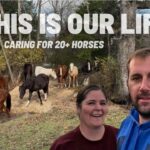 1778626873_maxresdefault.jpg