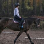 horse riding fitness
