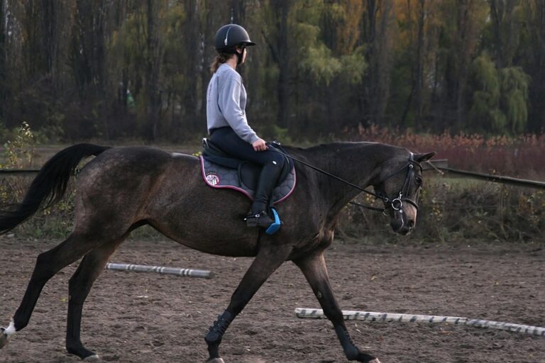 horse riding fitness