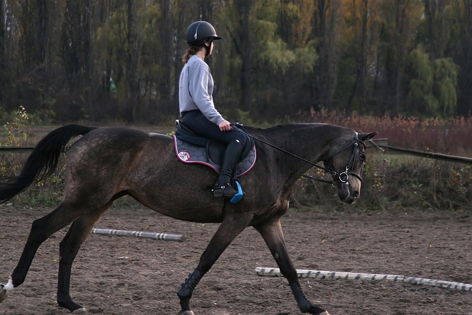 horse riding fitness
