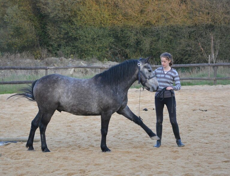 horse riding exercises