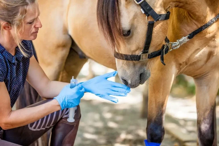 Deworming-your-Horse