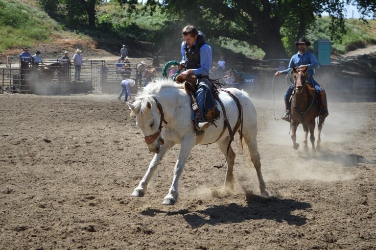 horse breed personalities