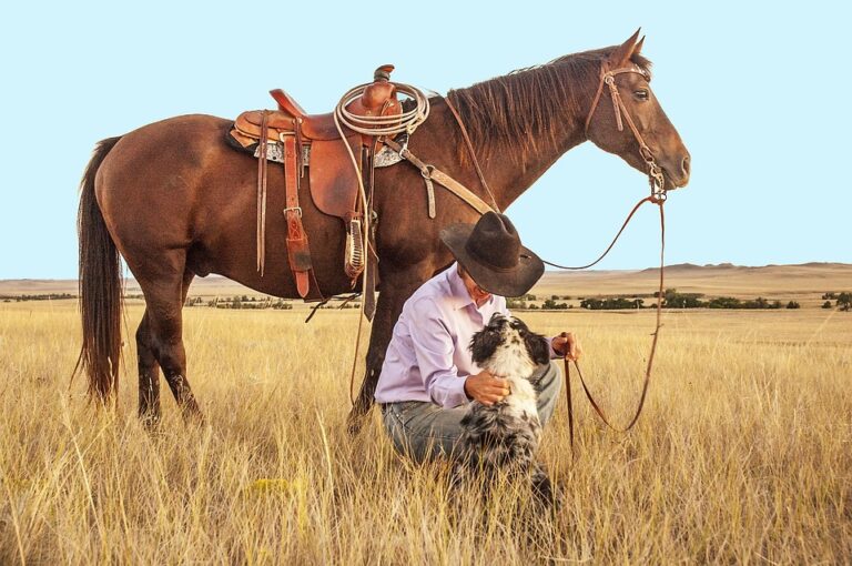 horse ranch lifestyle