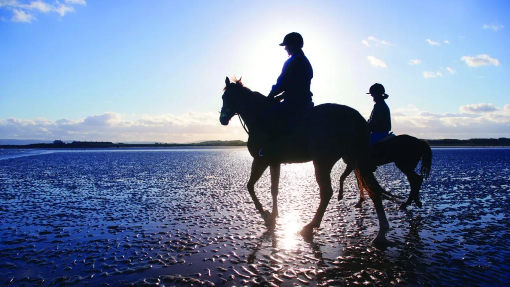 EXPLORE_Horse-Riding-_Murlough-Beach-and-Mourne-Mountainsmaster-2-1366x768-fp_mm-fpoff_0_0