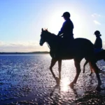 EXPLORE_Horse-Riding-_Murlough-Beach-and-Mourne-Mountainsmaster-2-1366x768-fp_mm-fpoff_0_0