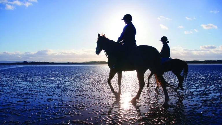 EXPLORE_Horse-Riding-_Murlough-Beach-and-Mourne-Mountainsmaster-2-1366x768-fp_mm-fpoff_0_0