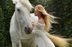 horse stress management