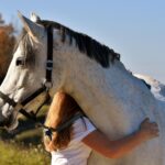 horse care for beginners