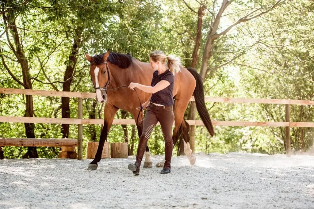Exercises-to-Improve-Your-Horses-Topline