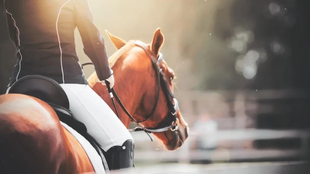 Horseback-Riding-for-Beginners-Everything-You-Need-to-Know-Huntley-Equestrian-124129512