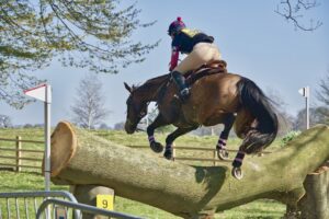 horse jumping exercises