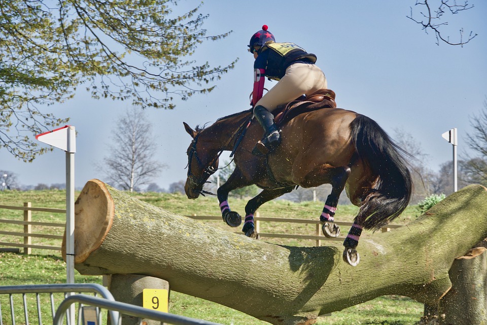 horse jumping exercises