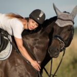 horse rein control