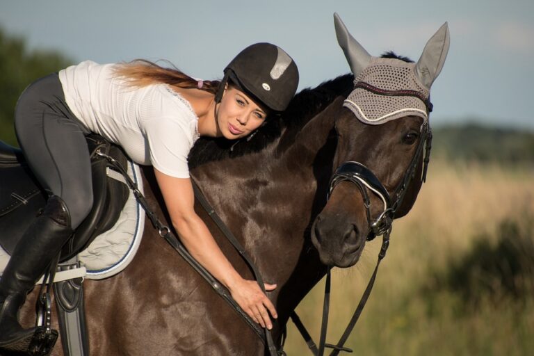 horse rein control