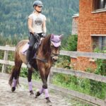 horse riding lessons