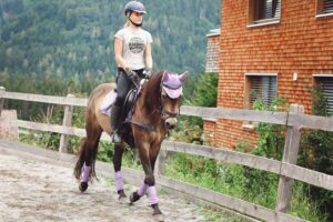 horse riding lessons