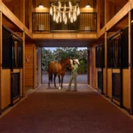 Maui_s_barn_by_american_stalls_-sliding_stall_fronts3