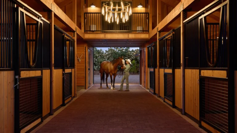 Maui_s_barn_by_american_stalls_-sliding_stall_fronts3