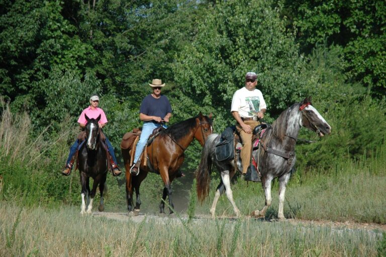 SOMO_HorsebackRiding (1)