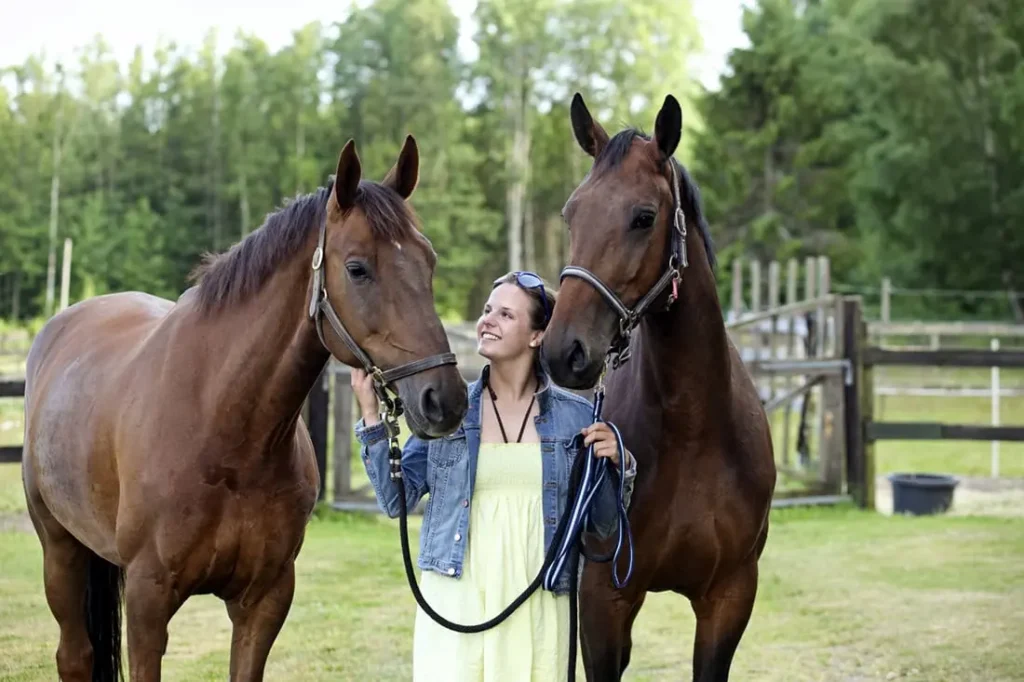 Signs-Horse-is-Happy