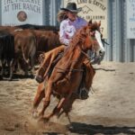 horse competitions