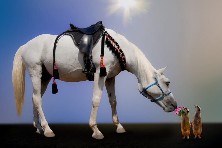 horse riding gifts
