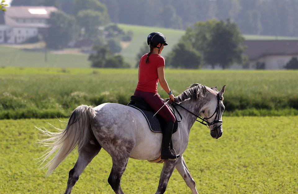 horse riding hobbies