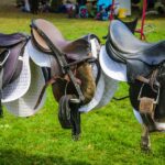 best horse saddles