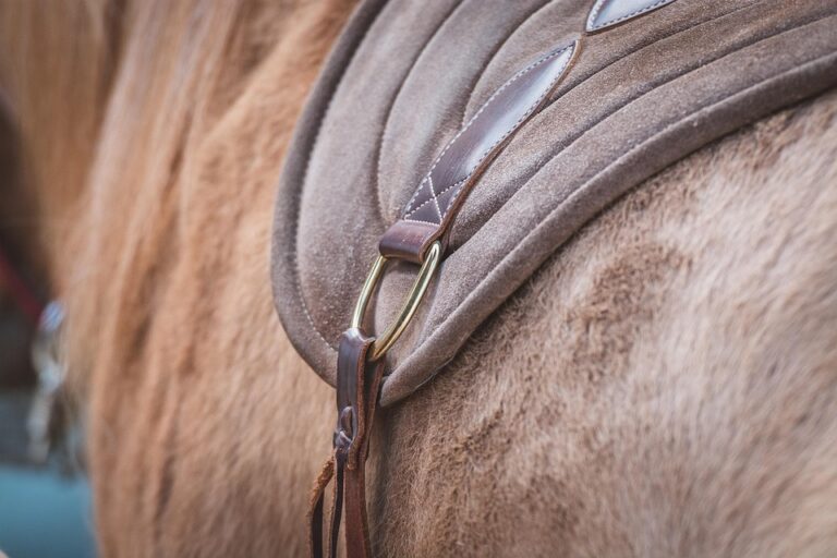 horse saddle pads