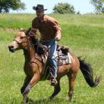 horse rider lifestyle