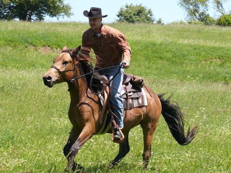 horse rider lifestyle