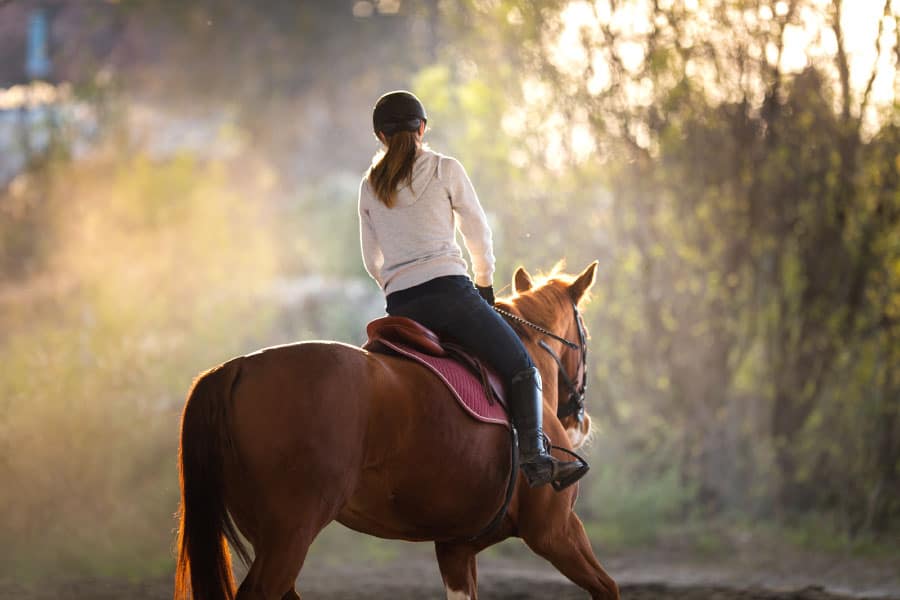 What-Skills-Do-You-Need-For-Horse-Riding-02