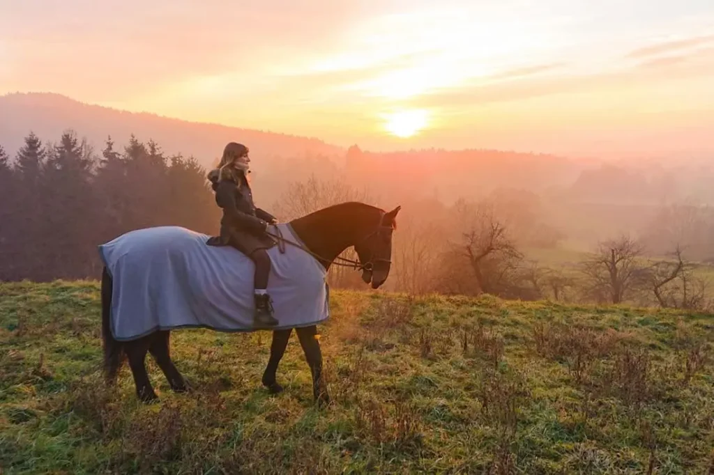 When-to-Blanket-Horses-1