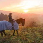 When-to-Blanket-Horses-1