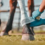Wound-Care-for-Horses (1)