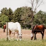 dorifitzpatrickphotography-76_websize