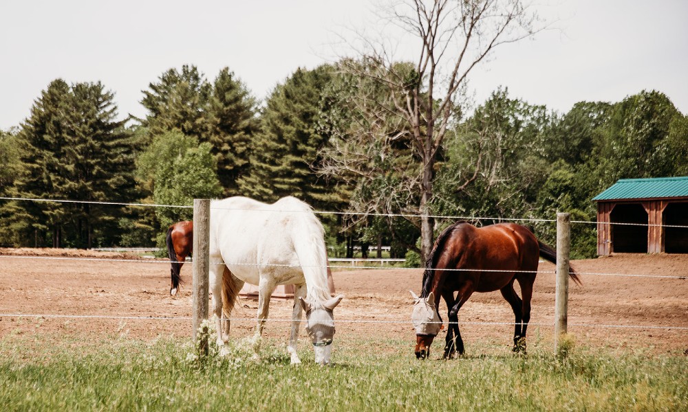 dorifitzpatrickphotography-76_websize
