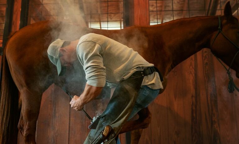 farrier-blog-hero