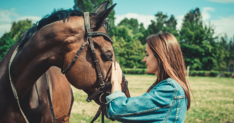 first-time-horse-owners-1024x538