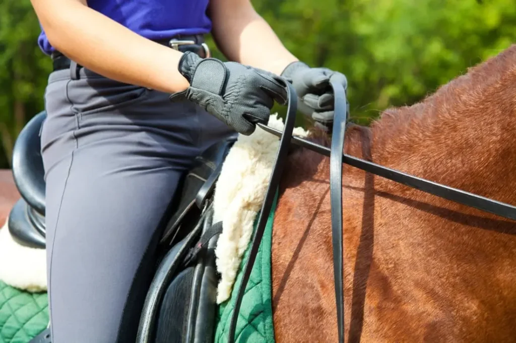 guide-to-improving-riding-posture
