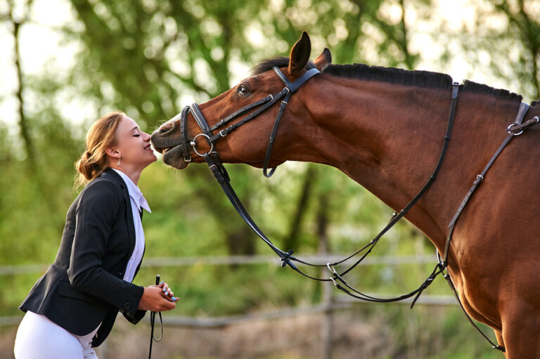 horse-communication