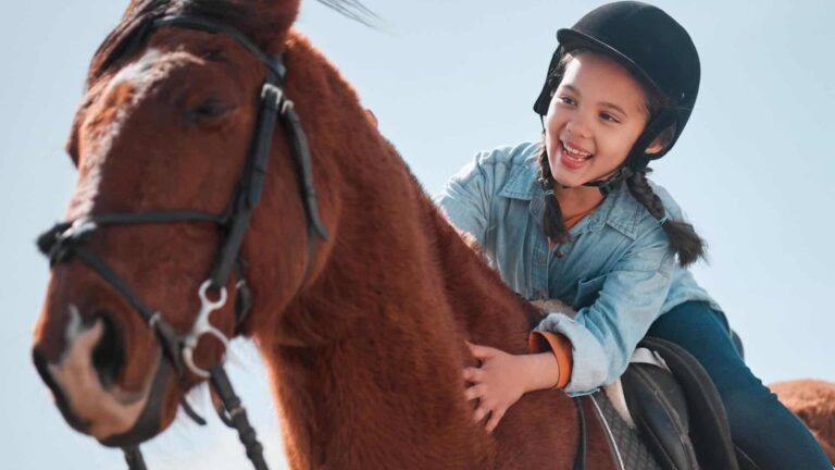 horse-safety-tips