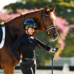 lpequestrian12-16-2025jenniferwilliams-2-copy_large