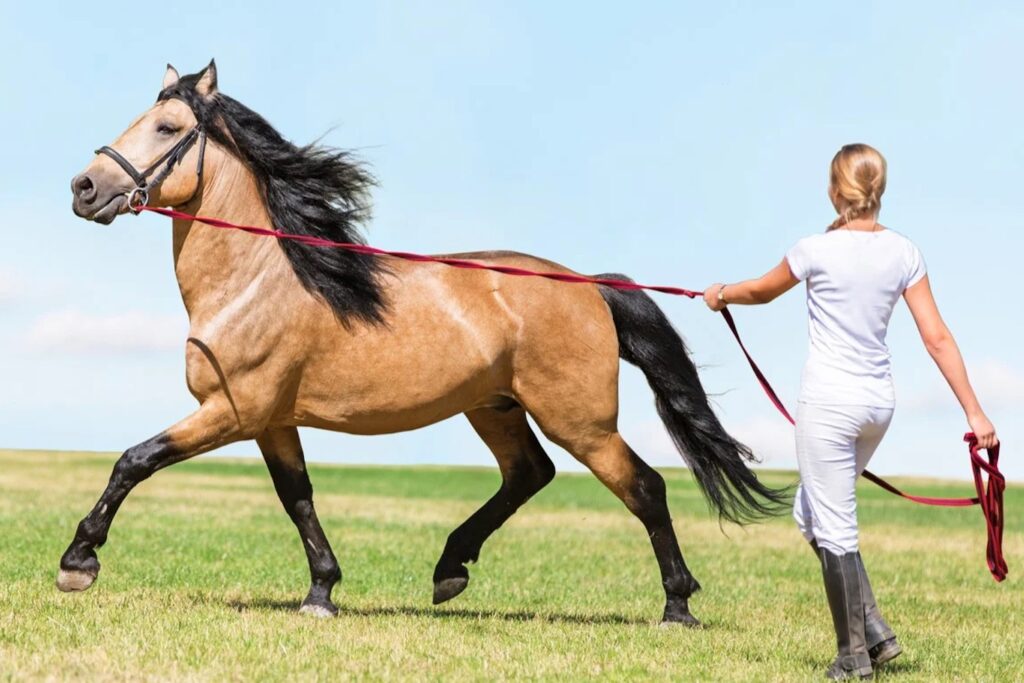 lunge