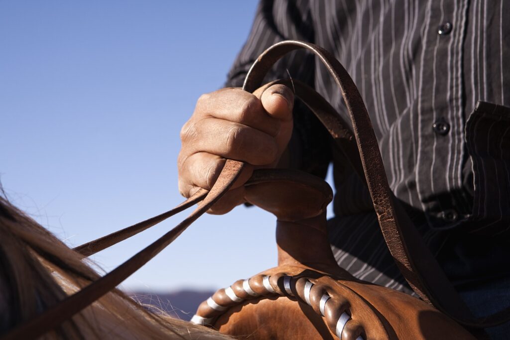 man-holding-the-reins-of-horse-close-up-focus-on-hand-101883876-584c7e633df78c491ef4a06a